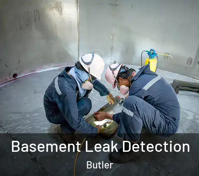  Basement Leak Detection Butler