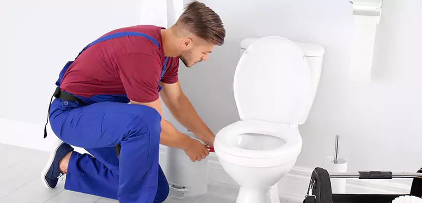 Scope of Bathroom Toilet Bowl Replacement Services in Butler, PA