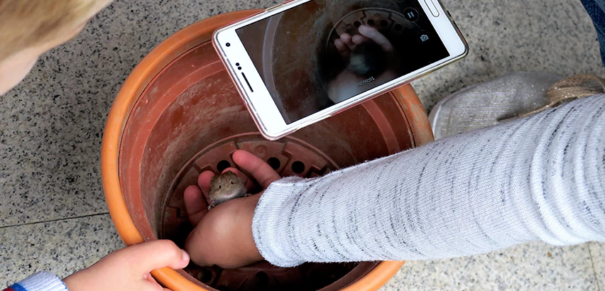 Scope of Drain Camera Inspection Services in Butler, PA