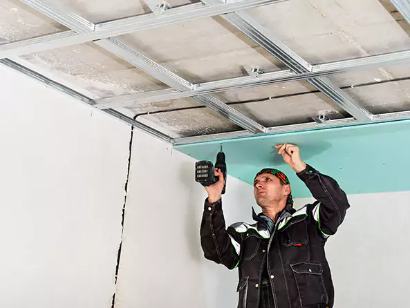 Why McAleers Plumbing is the First Choice for Roof & Ceiling Leak Detection Services in Butler, PA?