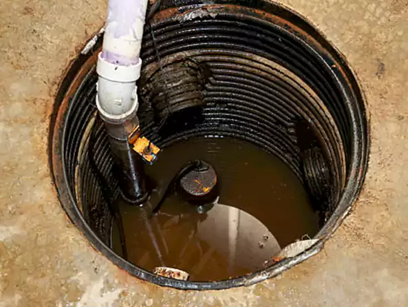 Why McAleers Plumbing is the First Choice for Sump Pump Maintenance Services in Butler, PA?