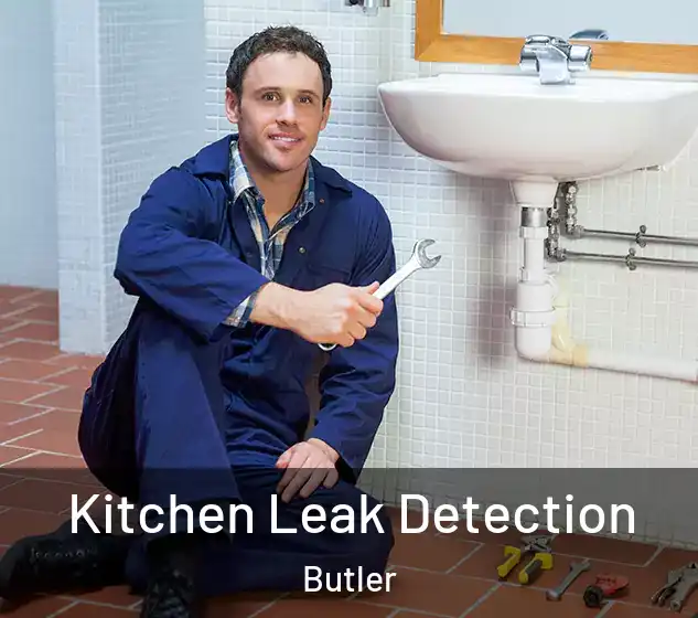  Kitchen Leak Detection Butler