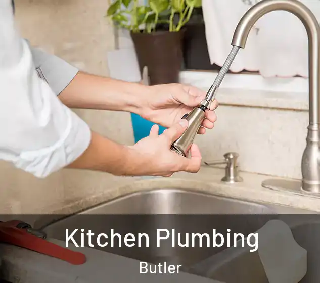  Kitchen Plumbing Butler