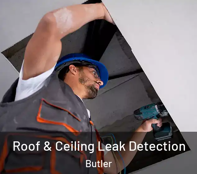 Roof & Ceiling Leak Detection Butler