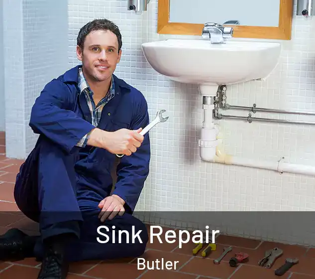  Sink Repair Butler