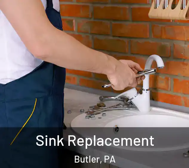  Sink Replacement Butler, PA