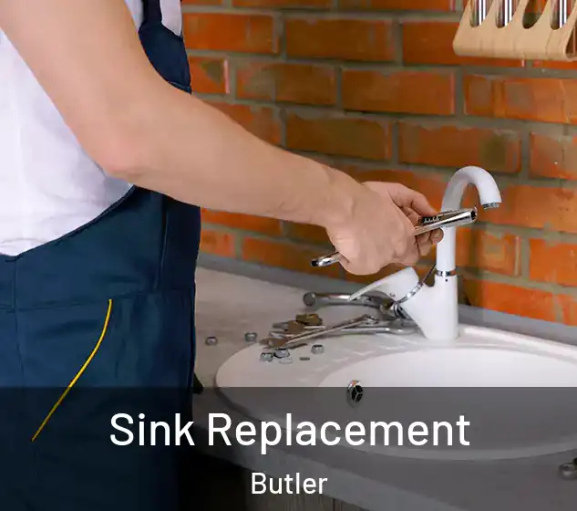  Sink Replacement Butler