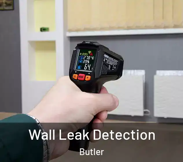  Wall Leak Detection Butler